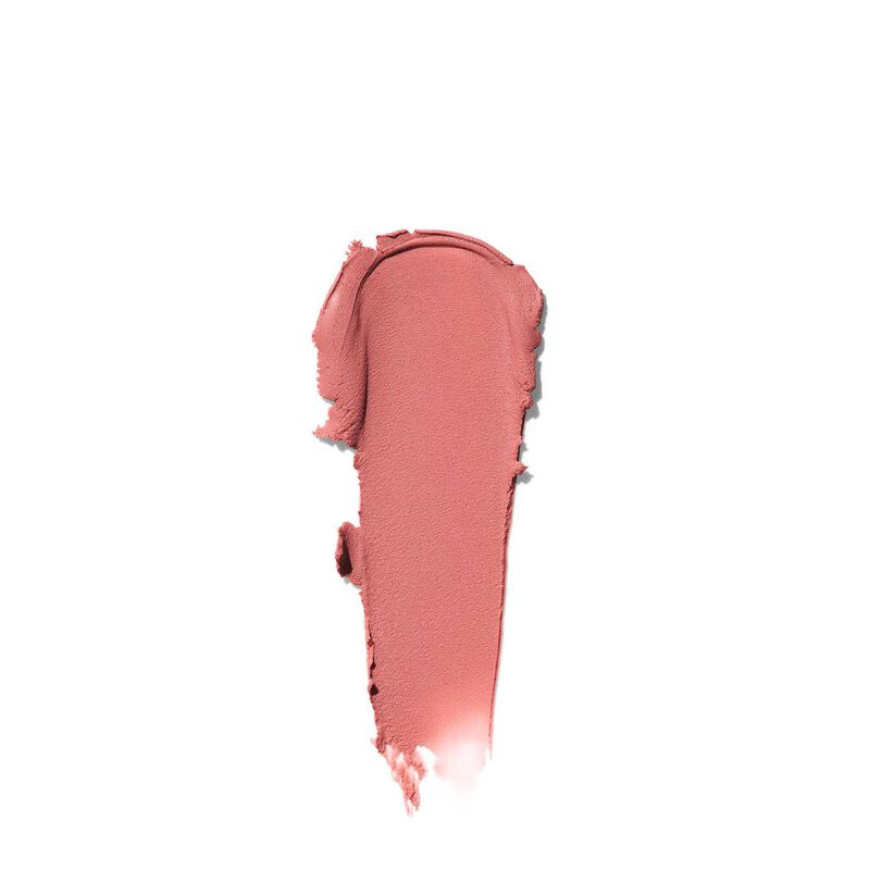 Bobbi Brown Pot Rogue Velvet Matte image number 41